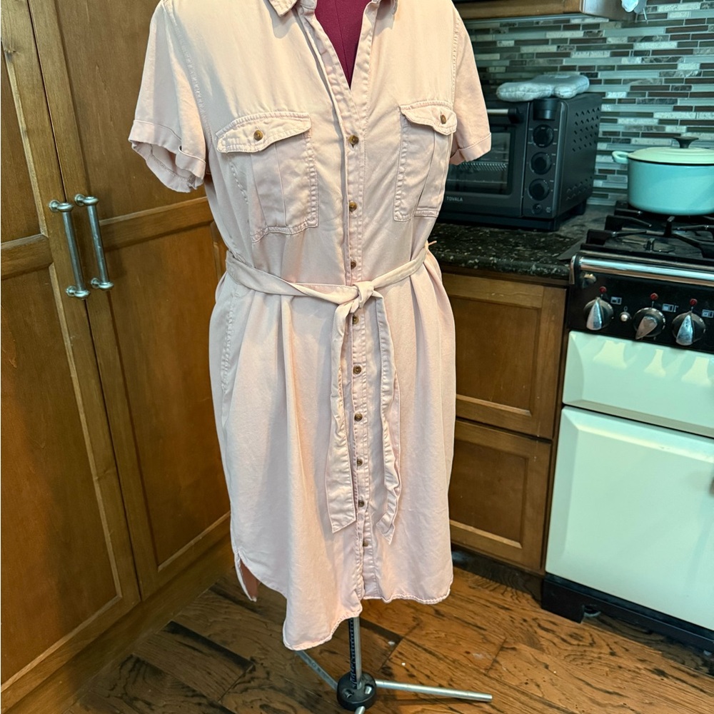 Teddi Rose Pink Shirt Dress with Belt